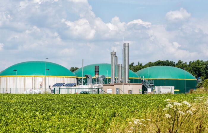 El papel del biometano en la descarbonización de la economía