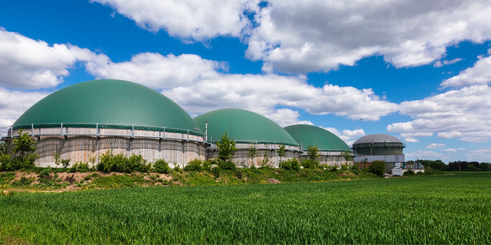 Cinco conceptos erróneos sobre los proyectos de biometano