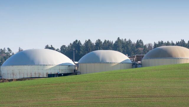 Bioenergía para hacer frente al cambio climático