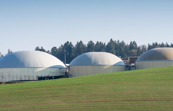 Bioenergía para hacer frente al cambio climático