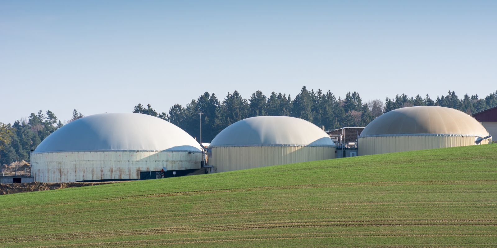Bioenergía para hacer frente al cambio climático